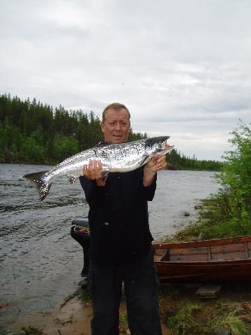 Lax på 4,3kg tagen i Lainio älv, Neitigården.
