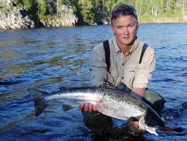 Lax på 5,2kg tagen av Peter Eriksson, Neitigården.