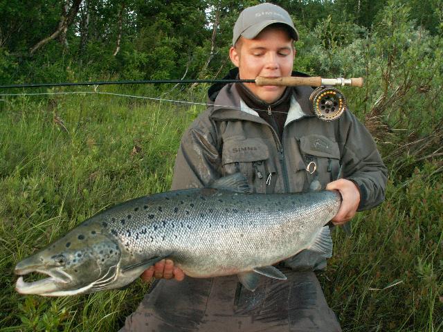 Lax på 8,6 kg från Lainio, tagen av Martin Gustavsson guide på Lainio vildmark.