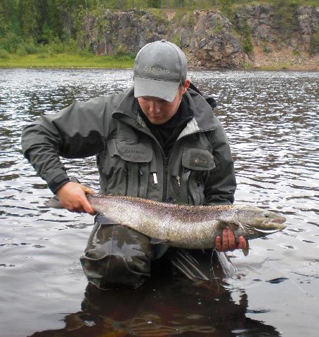 Lax på 6 kg tagen i Lainioälven av Martin Gustavsson, guide på Lainio Vildmark.