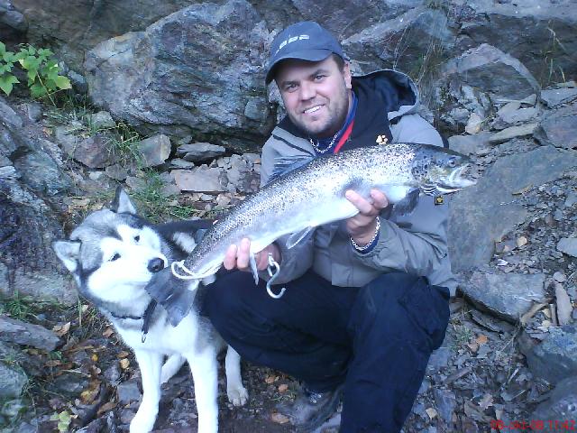 TAJVAS SMAKAR PÅ SIN FÖRSTA LARRY!!! M.V.H Jocke Olsson FOTO: WASFI ESKANDER TROLLHÄTTANS LAXFISKE