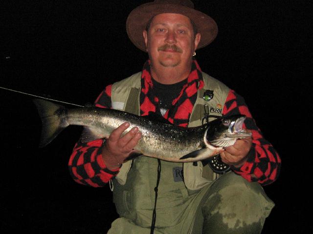 Naustalax,ca 3 kg,Augusti 2008  Swedish Sergeant Sista kvällen efter en underbar vecka tog den på hovretten.