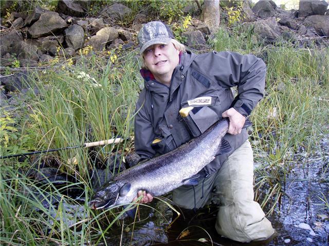 Jackman med septemberlax från emsforssträckan återsatt hona 96cm