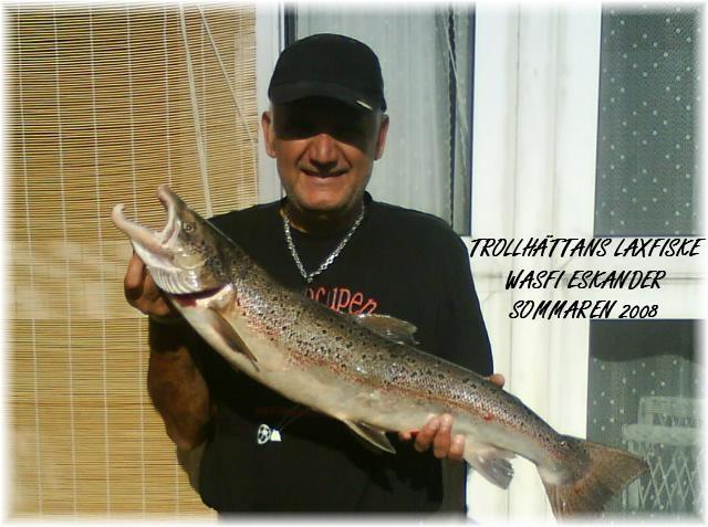 WASFI MED LARRY TAGEN I TROLLHÄTTAN SOMMAREN 2008