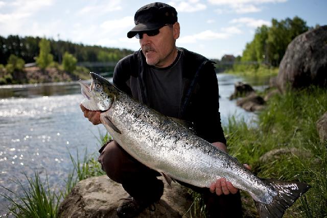 Där satt den 9,2kg Älvkarleby 16 juni
