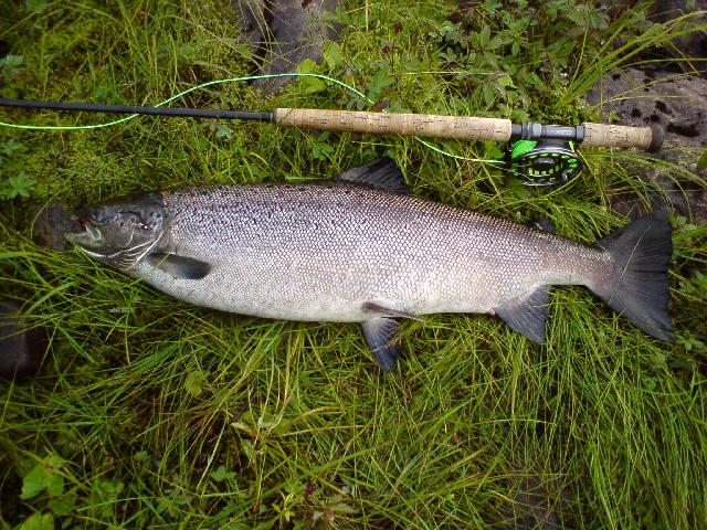 92 cm från kangos fvo's vatten. Lars Munk
