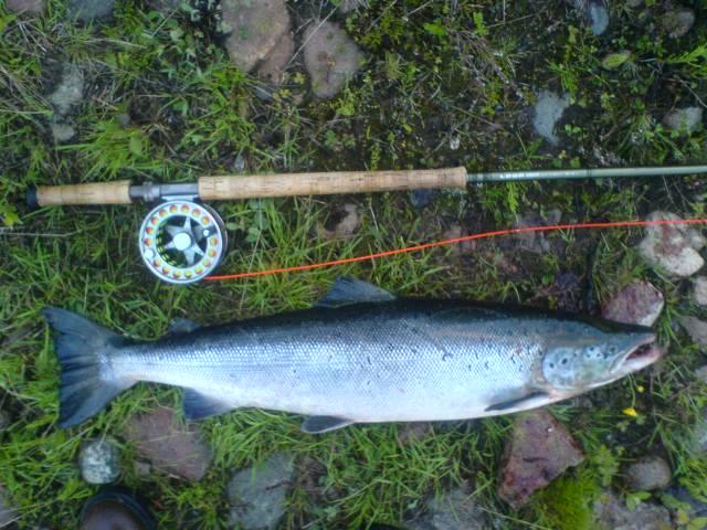 5 kg. Kristian Stridsman på kangos fvo's vatten. Lars Munk