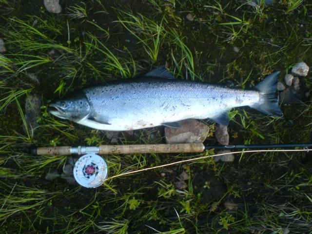 4-5 kg. kristian stridsman på kangos fvo's vatten. Lars Munk
