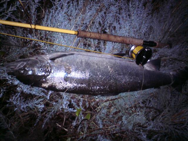 94 cm. sone 1. Lars Munk