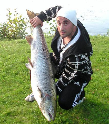 Bergforsen 14.5 Kg  Blank lax 2009.08.27